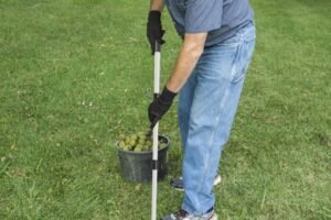 MBLEDHËS ARASH & FRUTASH TË FORTA-11