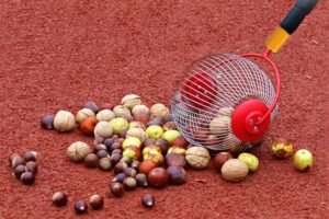 MBLEDHËS ARASH & FRUTASH TË FORTA-7