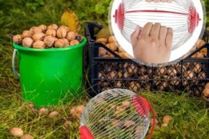 MBLEDHËS ARASH & FRUTASH TË FORTA-9